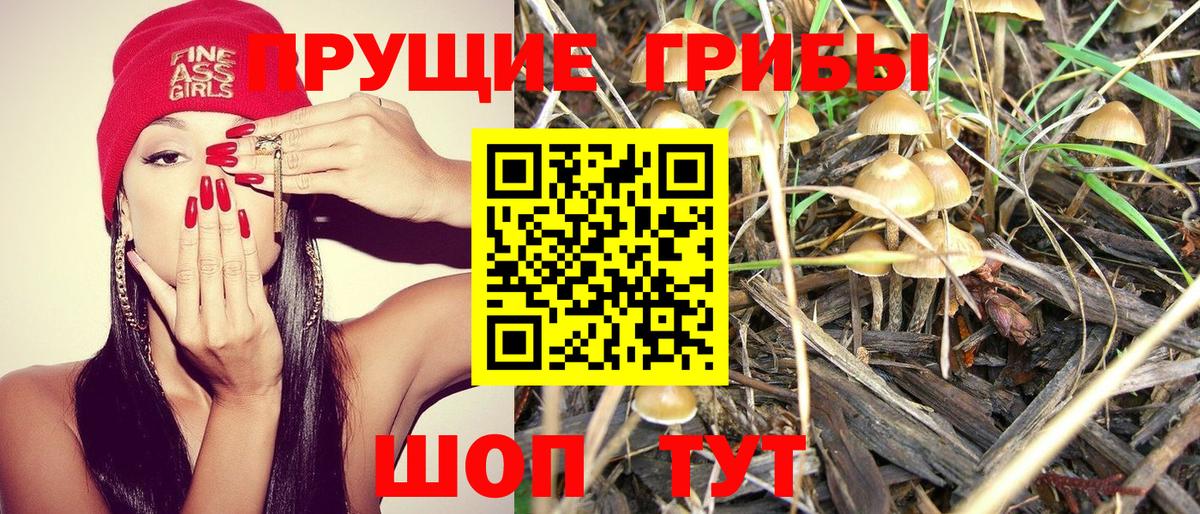 Псилоцибиновые грибы мухоморы Усинск