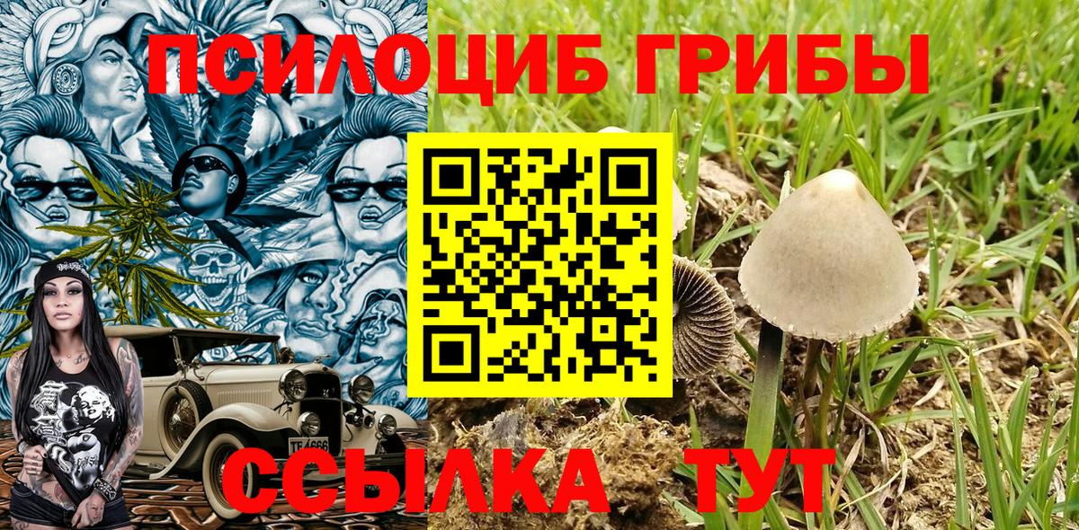 Усинск  Псилоцибиновые грибы прущие грибы  Вход с VPN 